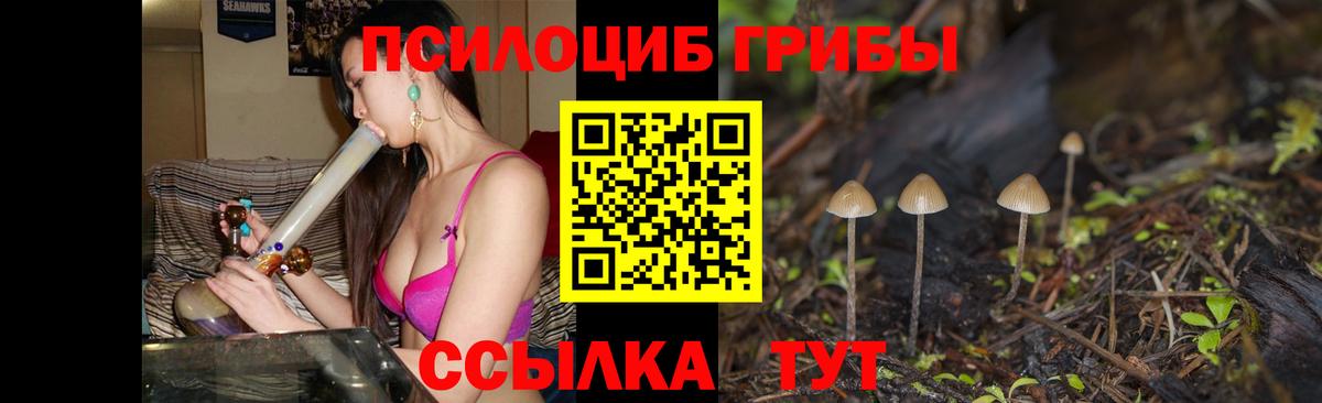 Луховицы  Галлюциногенные грибы Psilocybe  Галлюциногенные грибы Magic Shrooms  Вход с VPN 